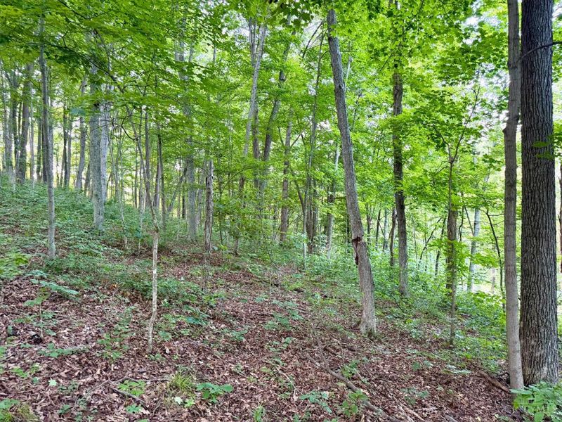 0 Carrs Run, Jackson Twp, OH 45613 Photo 4