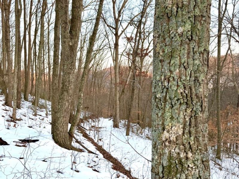 0 Carrs Run, Jackson Twp, OH 45613 Photo 40