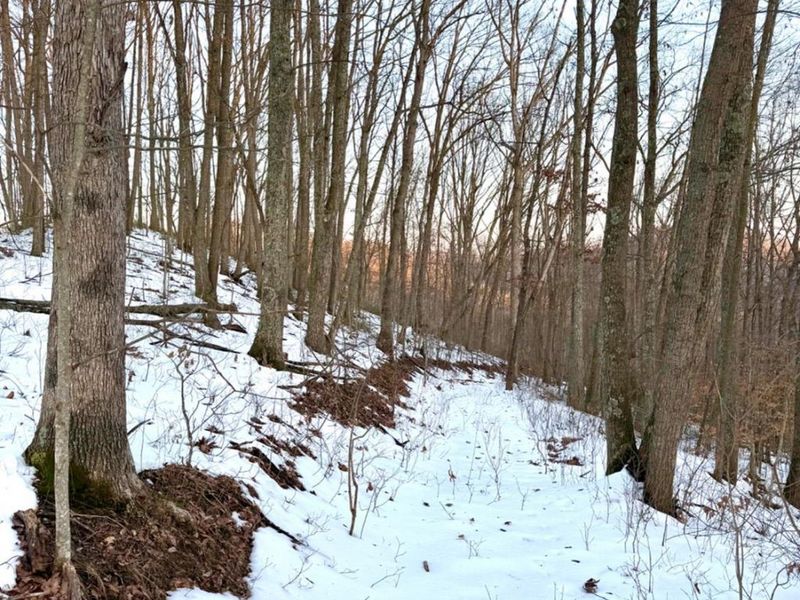 0 Carrs Run, Jackson Twp, OH 45613 Photo 41