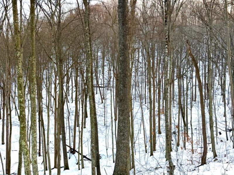 0 Carrs Run, Jackson Twp, OH 45613 Photo 48