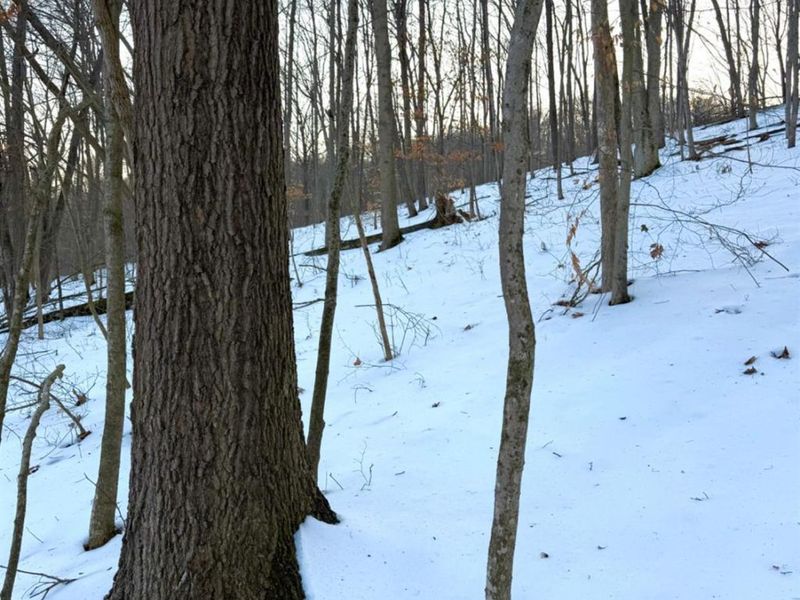 0 Carrs Run, Jackson Twp, OH 45613 Photo 51
