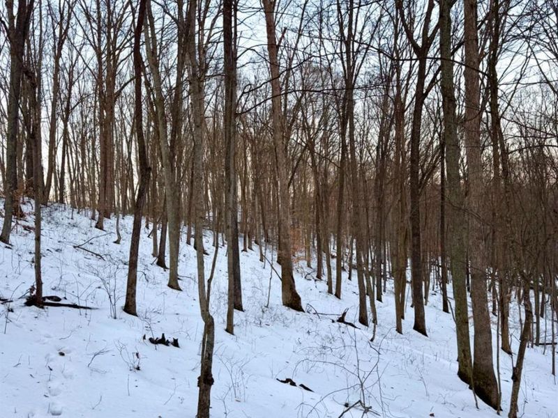 0 Carrs Run, Jackson Twp, OH 45613 Photo 52