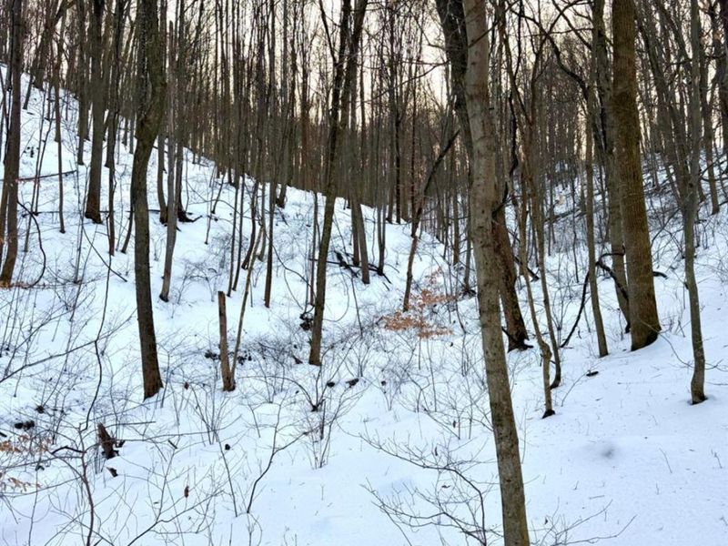 0 Carrs Run, Jackson Twp, OH 45613 Photo 53