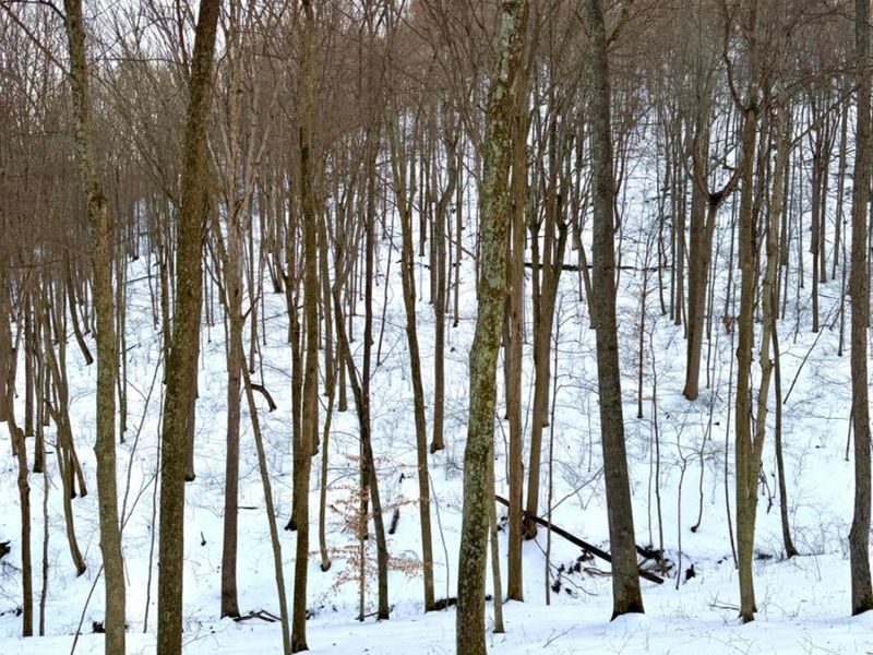 0 Carrs Run, Jackson Twp, OH 45613 Photo 58