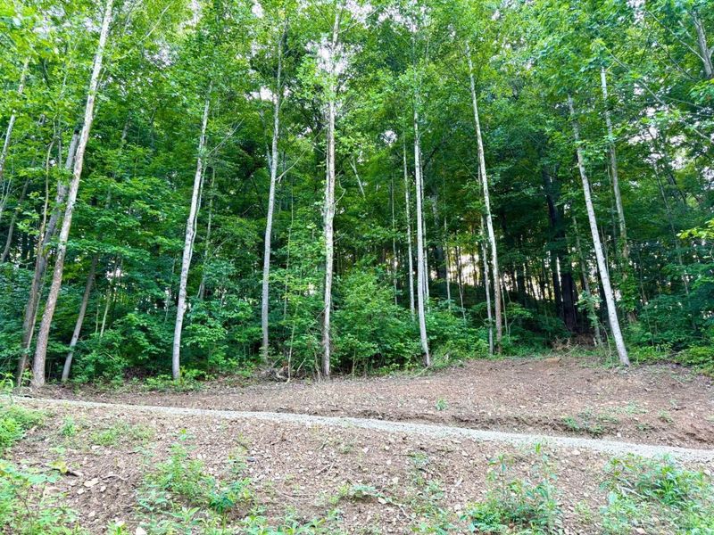 0 Carrs Run, Jackson Twp, OH 45613 Photo 6