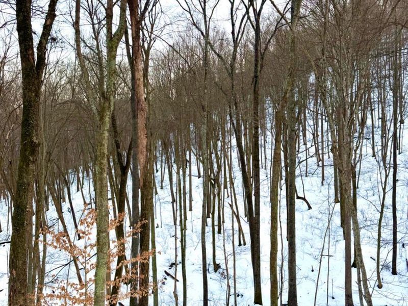 0 Carrs Run, Jackson Twp, OH 45613 Photo 60