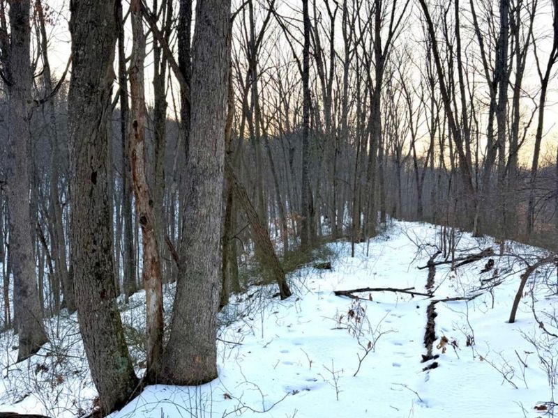 0 Carrs Run, Jackson Twp, OH 45613 Photo 61