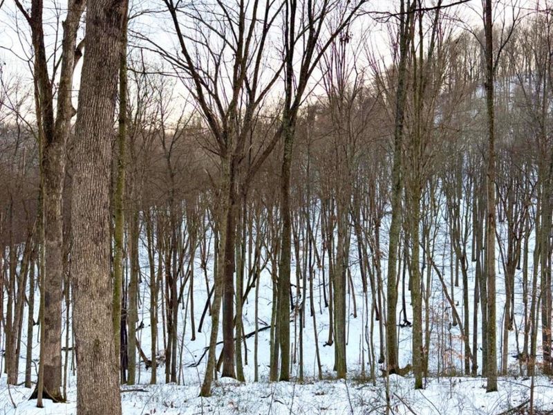 0 Carrs Run, Jackson Twp, OH 45613 Photo 63