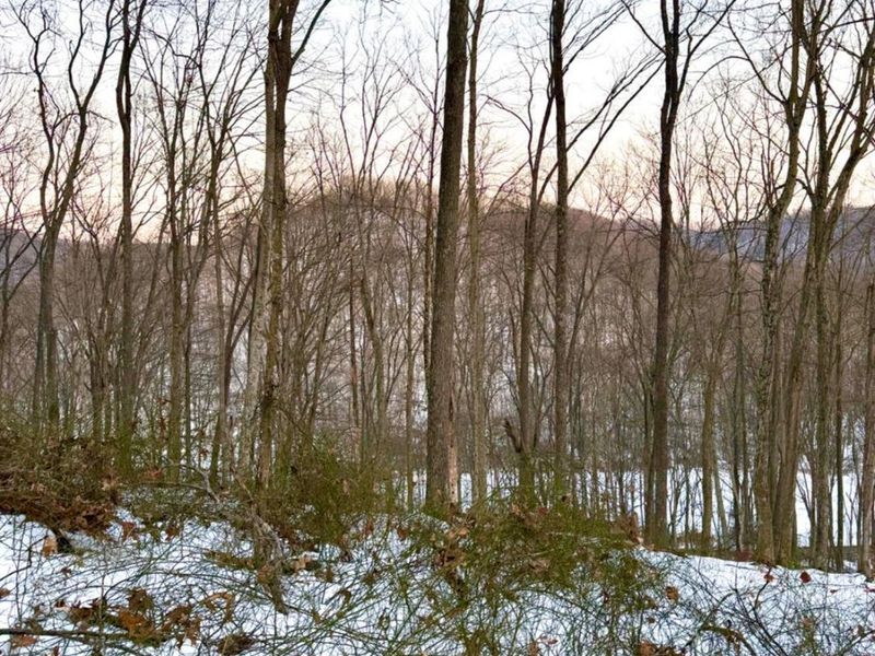 0 Carrs Run, Jackson Twp, OH 45613 Photo 65