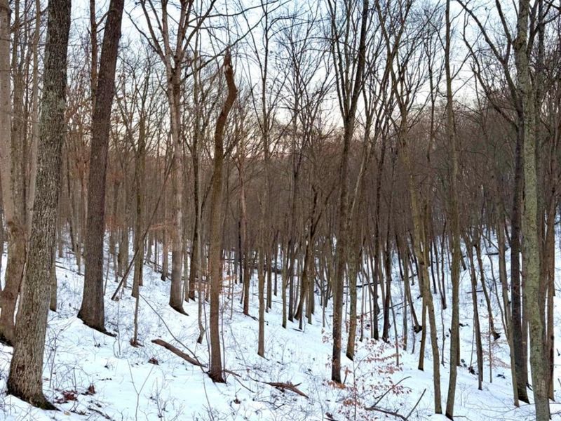 0 Carrs Run, Jackson Twp, OH 45613 Photo 66