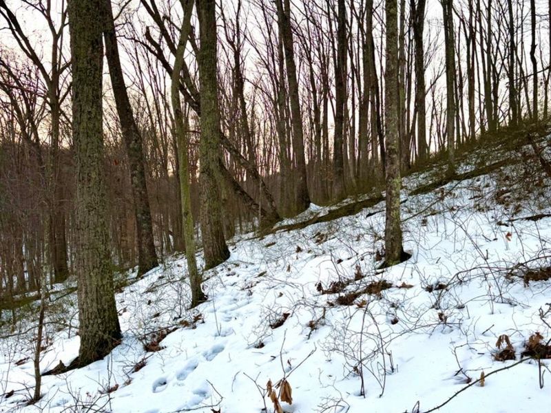 0 Carrs Run, Jackson Twp, OH 45613 Photo 85