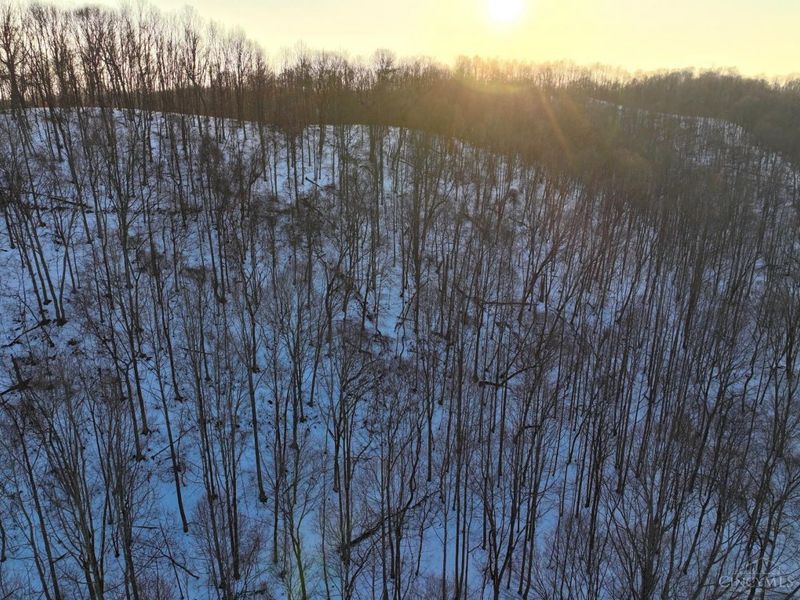 0 Carrs Run, Jackson Twp, OH 45613 Photo 9