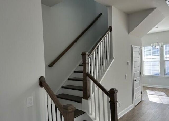 113 W Respite Lane Photo 5