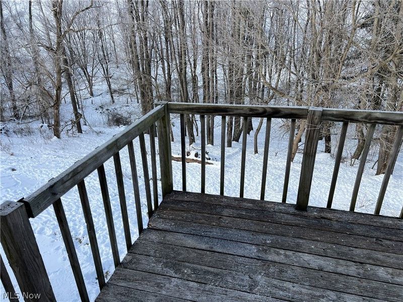 164 Pine Lane, Barnesville, OH 43713 Photo 30