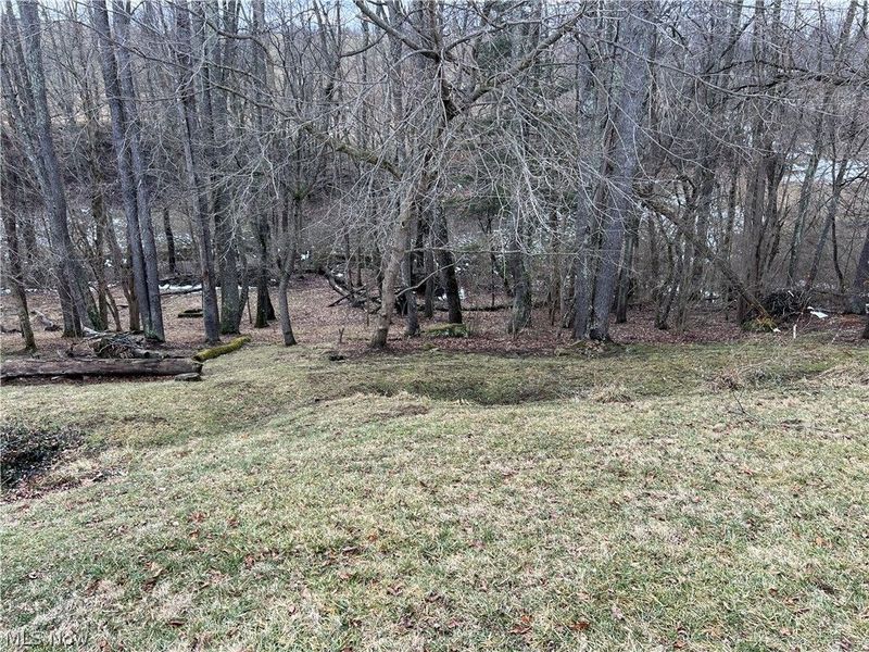 164 Pine Lane, Barnesville, OH 43713 Photo 34