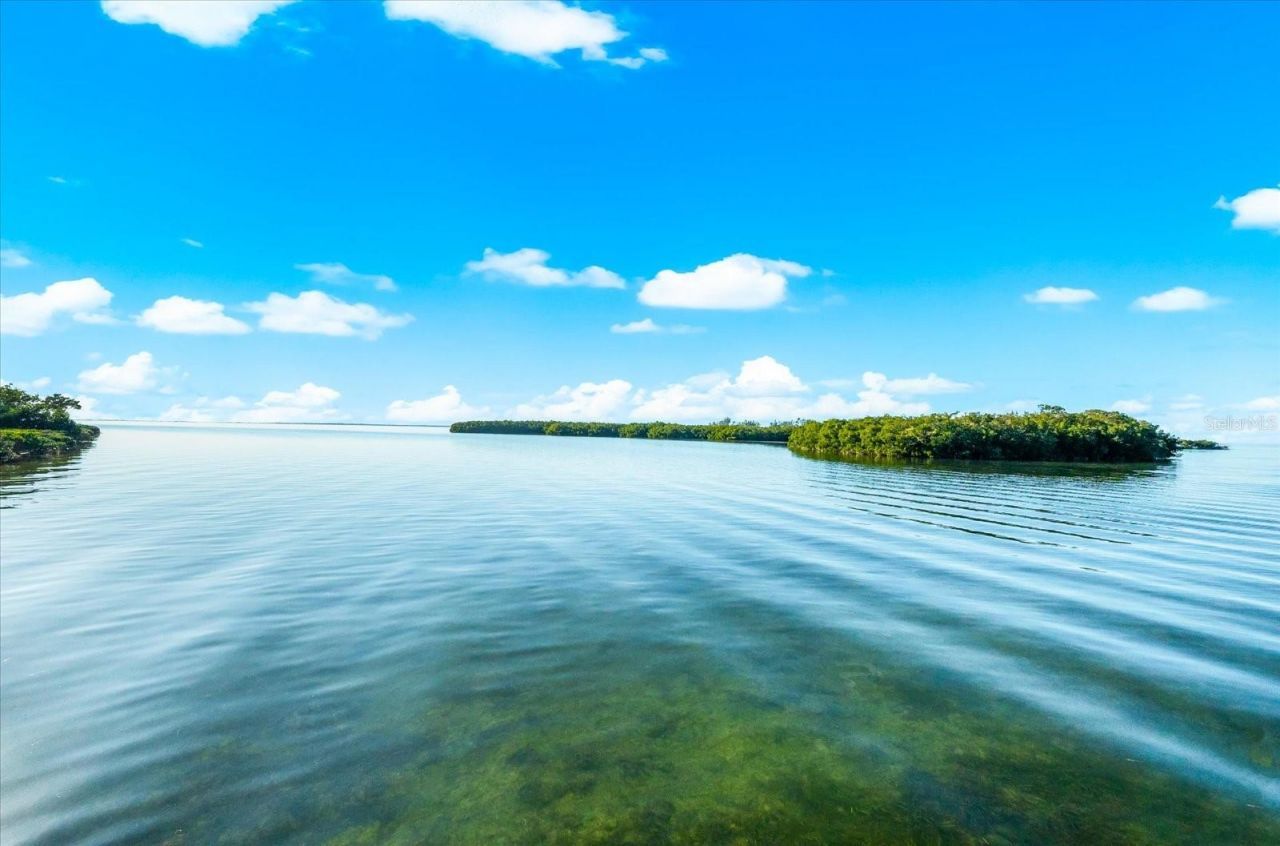 2059 N Pointe Alexis Drive, Tarpon Springs, FL 34689 Photo