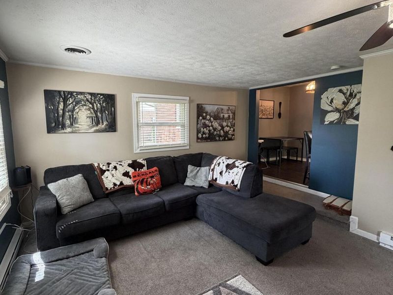 207 Cole Street, Jackson Center, OH 45334 Photo 13