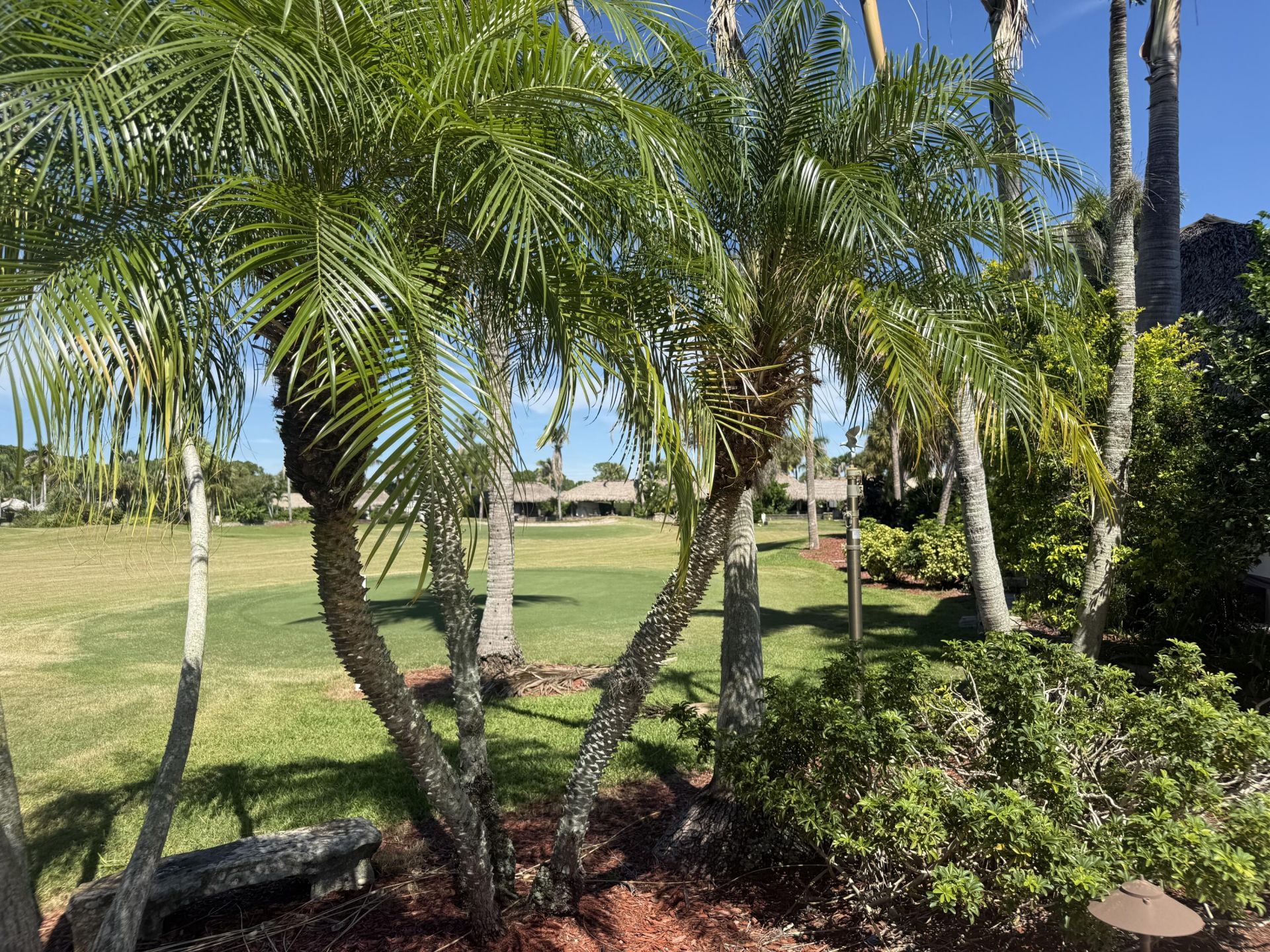 367 NW Foursome Lane, Port Saint Lucie, FL 34986 Photo