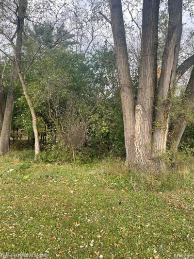 0000 Reed Lake Road , Commerce Township, MI 48382 Main Photo