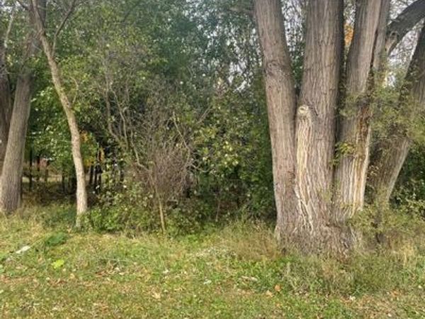 0000 Reed Lake Road , Commerce Twp, MI 48382