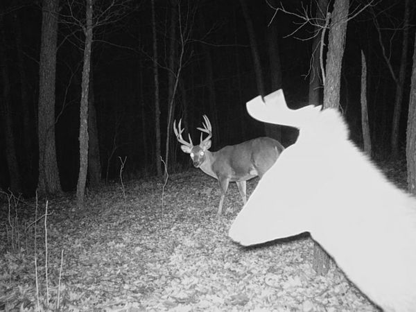 W7113 Leigh Road, Mauston, WI 53948