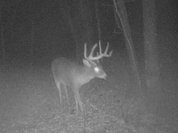 W7113 Leigh Road, Mauston, WI 53948