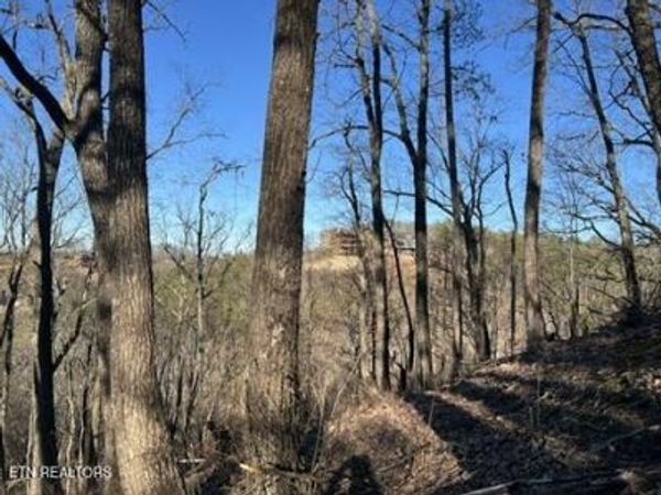 2353 Headrick Lead, Sevierville, TN 37862