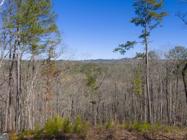 LOT 285 Anglers Ridge Road, Talking Rock, GA 30175