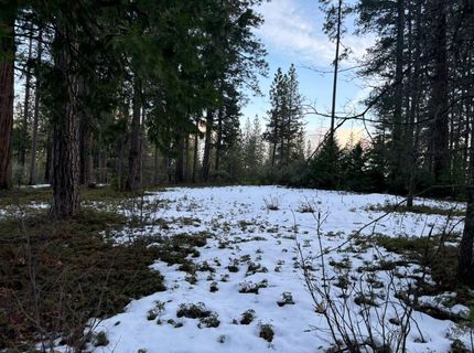 164 Vireo Ct, Avery, CA 95224 Photo