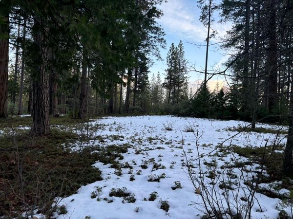 164 Vireo Ct, Avery, CA 95224