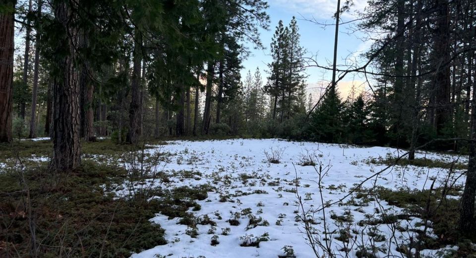164 Vireo Ct, Avery, CA 95224 Photo