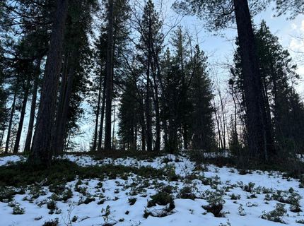164 Vireo Ct, Avery, CA 95224 Photo