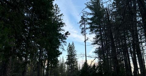 164 Vireo Ct, Avery, CA 95224 Photo