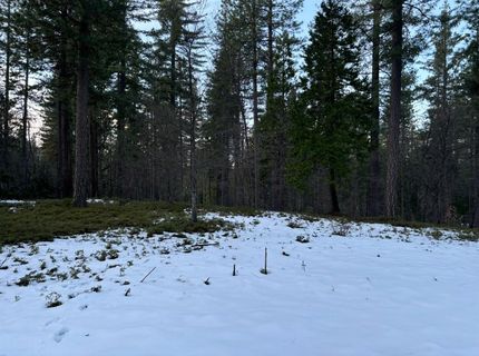164 Vireo Ct, Avery, CA 95224 Photo