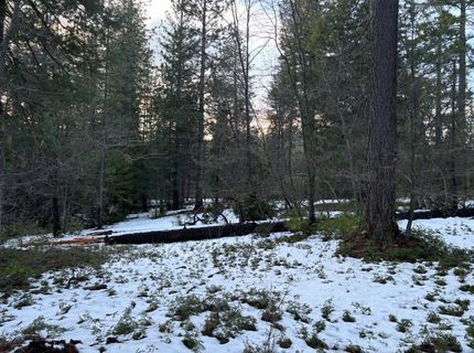 164 Vireo Ct, Avery, CA 95224 Photo