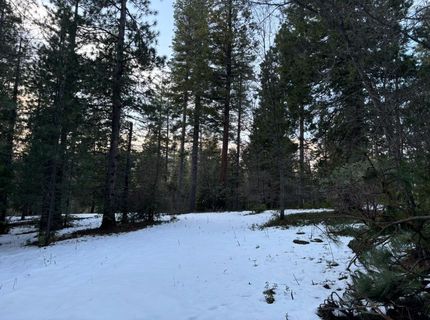 164 Vireo Ct, Avery, CA 95224 Photo
