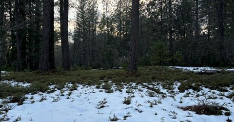 164 Vireo Ct, Avery, CA 95224 Photo