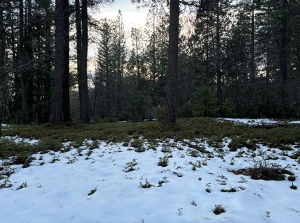 164 Vireo Ct, Avery, CA 95224 Photo