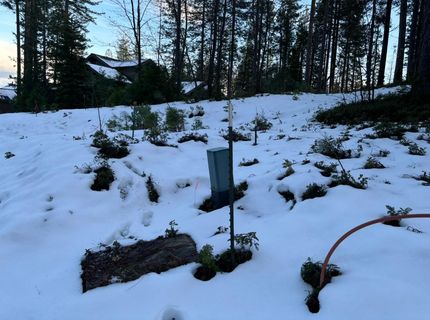 164 Vireo Ct, Avery, CA 95224 Photo