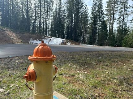 164 Vireo Ct, Avery, CA 95224 Photo