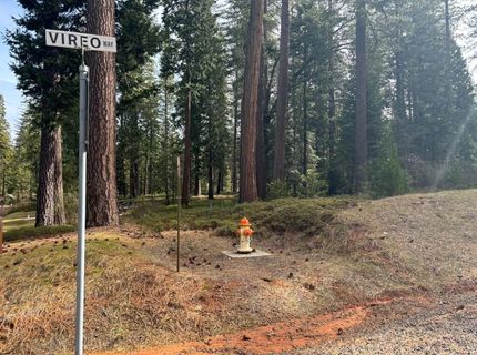 164 Vireo Ct, Avery, CA 95224 Photo