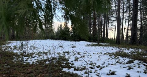 164 Vireo Ct, Avery, CA 95224 Photo
