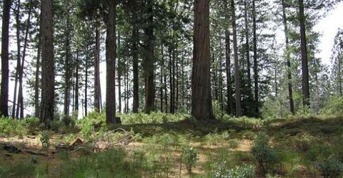 164 Vireo Ct, Avery, CA 95224 Photo