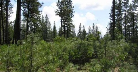 164 Vireo Ct, Avery, CA 95224 Photo
