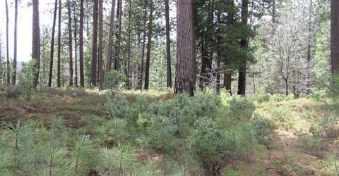 164 Vireo Ct, Avery, CA 95224 Photo