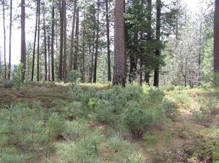 164 Vireo Ct, Avery, CA 95224 Photo