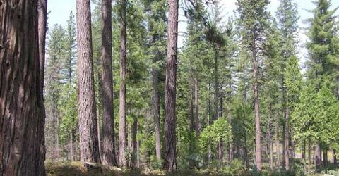 164 Vireo Ct, Avery, CA 95224 Photo