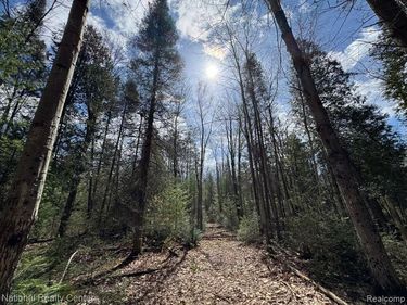 4233 Hardacre Trail , Roscommon Twp, MI 48629