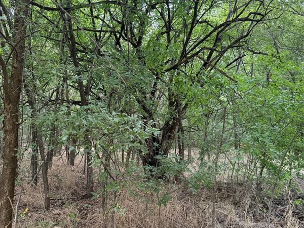 Main , Dougherty, OK 73032