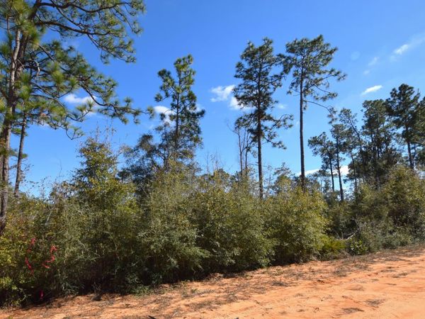 XXX Fairborn Avenue , Alford, FL 32420